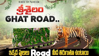 భయంకరమైన 😵‍💫 శ్రీశైలం Ghat Road || దోర్నాల to శ్రీశైలం  || ఘాట్ Road Series - 2