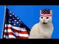 United States of America's National Anthem by Cats