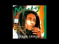 Bob Marley - Sun Is Shining (Remastered) 432hz