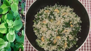 Vamaku rice//వాము ఆకుతో ఇలా రైస్  చేసుకోండి//Vamu rice