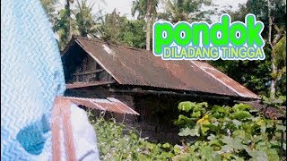 SRI FAYOLA - Pondok Diladang Tingga (Official Music Video) Lagu Minang