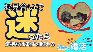 【お見合いで迷ったら】お見合いの後で、仮交際に進むかどうか迷っているあなたへ。気持ちは条件を超えるんです