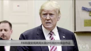 FBI和国安局两局长就窃听指控到国会作证