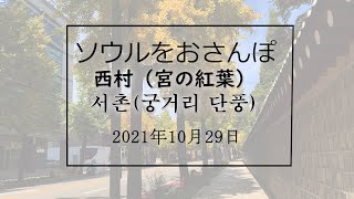 ソウルをおさんぽ vol.156　2021.10.29  　紅葉の景福宮まわり編