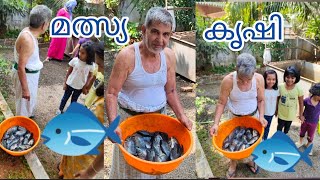 Fish Farm at home | മൂസവാപ്പാൻ്റെ മത്സ്യ കൃഷി വിളവെടുപ്പ്