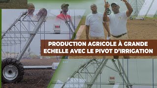 Togo : production à grande échelle avec le pivot d'irrigation | Agridigitale reportage