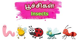 பூச்சிகள் | Insects names in tamil and english | Learn Insects Name | Poochigal @sskidstube