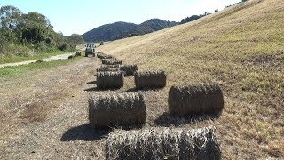 四万十川の堤防すっきり　草刈り作業進む