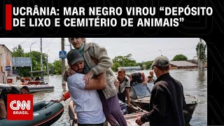 Ucrânia: Mar Negro virou “depósito de lixo e cemitério de animais” | LIVE CNN
