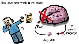 Fear