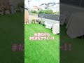 【人工芝diy】 ガーデニング 庭づくり ナチュラルガーデン 人工芝 人工芝diy お庭diy 庭作り diy女子