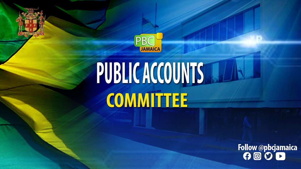 Public Accounts Committee - March 30, 2021 - YouTube