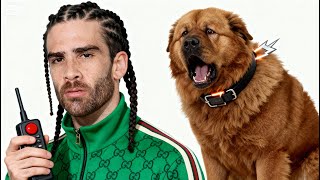 Shock My Dog I Can't Stop