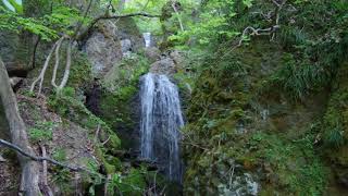 宮城県　仙台市太白区　二口温泉　大東岳大行沢登山道　名取川　大行沢　白滝沢　白滝下の滝