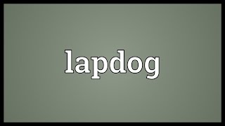 Lapdog Meaning