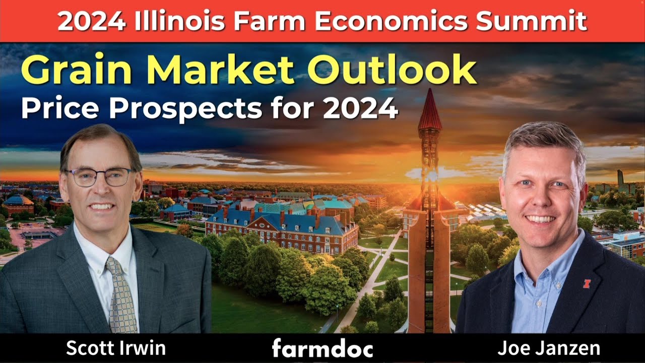 Grain Market Outlook Price Prospects For 2024 - YouTube