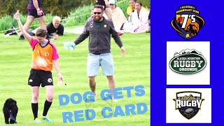 DOG 🐶 gets a RED CARD | 2019 Alaska Midnight Sun 7s | CUP FINAL