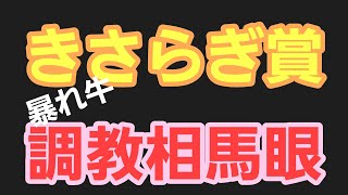 2023年【きさらぎ賞】暴れ牛の調教相馬眼