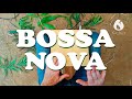 How to play BOSSA NOVA. Drum grooves beat tutorial for beginners. Cajon Majon Lessons.