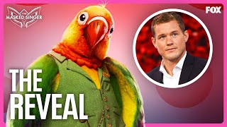 The Reveal: Colton Underwood is Lovebird | Season 11 | The Masked Singer