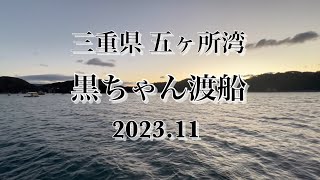 【チヌ筏・かかり釣り】風よけのある最高の筏   冬でも快適ー！ 三重県 五ヶ所湾 黒ちゃん渡船にて！！   #short