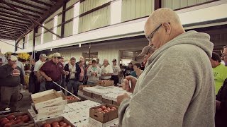 Cedar Valley Produce Auction