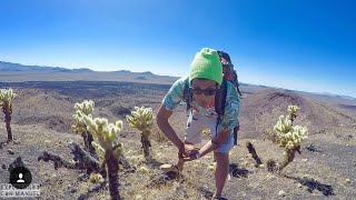 El Pinacate (Cuidado con la Serpiente) | Desierto con más Biodiversidad del mundo | Vlog #15