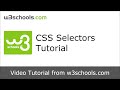 W3Schools CSS Selectors Tutorial