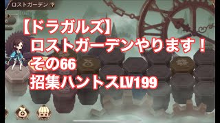 【ドラガルズ】ロストガーデンやります！その66　招集ハントスLV199