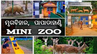 papadahandi deer park । papadahandi chiriakhana । papadahandi park । nabarangpur tourist places ।