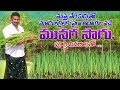 మునగ సాగు పూర్తి వివరాలు | Drumstick Cultivation Full Details | Moringa Farming | AgriTech Telugu