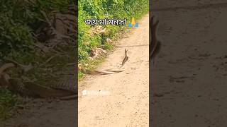 ভুল করেও কেউ এই ভিডিওটি এড়িয়ে যাবেন না অহংকার করলেই বিপদ জয় মা মনসা ৭দিনের মধ্যে ভাগ্য বদলে যাবে