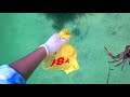 مغامرة صيد القباقب أو سلطعون البحر وحصلت نجمات 🦀 crab fishing found sea star