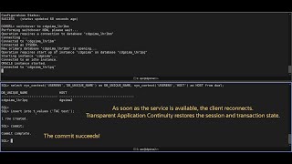 Transparent Application Continuity with Oracle Active Data Guard - Demo