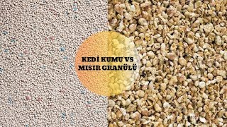 Kafes Tabanında Ne Kullanmalıyız? Kedi Kumu vs  Mısır Granülü