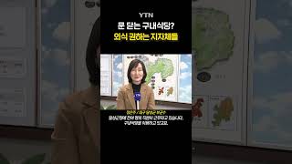 경기 살리려 '안간힘' #shorts / YTN