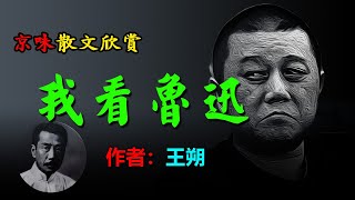 💥王朔的散文欣賞：1.回忆陈吾二三事、2.我看鲁迅、  #散文 #散文朗讀  #讀書 #聽書 #小說 #有聲書