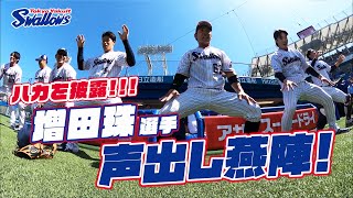 【360度動画】ついに神宮でハカを披露！増田珠選手の声出し燕陣（円陣）！2024年5月3日 東京ヤクルトスワローズvs中日ドラゴンズ