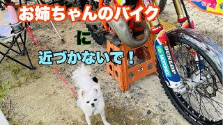 【感動⁈】【笑い⁈】バイクを守ってるように見える物語