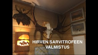 Hirven sarvitrofeen valmistus