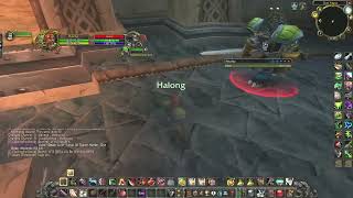 WoW HC PvP 38 Hunter Flagged Death #2