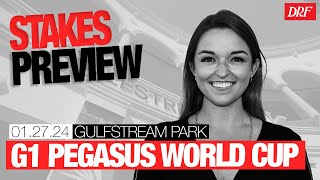 Ashley Mailloux’s Grade 1 Pegasus World Cup Preview | January 27, 2024