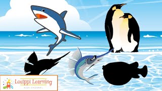 【うみのいきもの】海の生き物パズル５８ 知育・教育動画【赤ちゃん・子供向け】Sea animal puzzle for kids