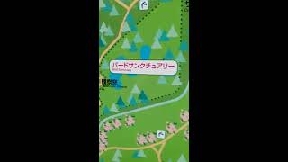 【散歩】フラっとわっさん、砧公園（きぬたこうえん）と世田谷美術（せたがやびじゅつかん）館