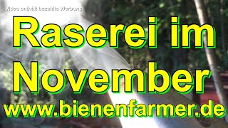 Raserei im November