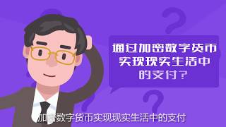 WinPay全球支付系统