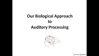 Our biological approach to auditory processing