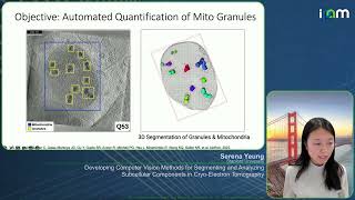 Serena Yeung - Computer Vision for Segmenting & Analyzing Subcellular Components in CE Tomography