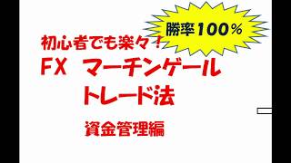 初心者でも楽々！　FXマーチンゲールトレード手法②　資金管理編【勝率１００％】