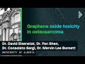 Graphene oxide toxicity in osteosarcoma